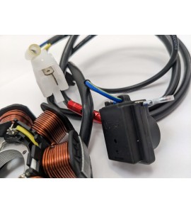 Stator / Magneto - Agility 125