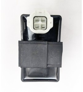 Lighting Control Module - Like 50 /150