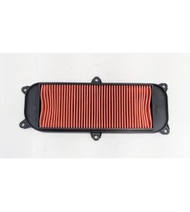 Air Filter - People 250 / People S250