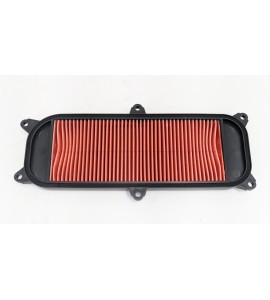 Air Filter - People 250 / People S250