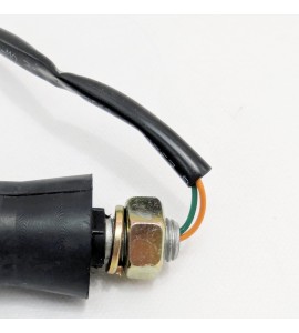 Turn Signal - Rear Right - Calibro