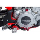Brake Pedal - Rear - RS 300/500