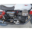 V7 Stone - "Ten" - 2024